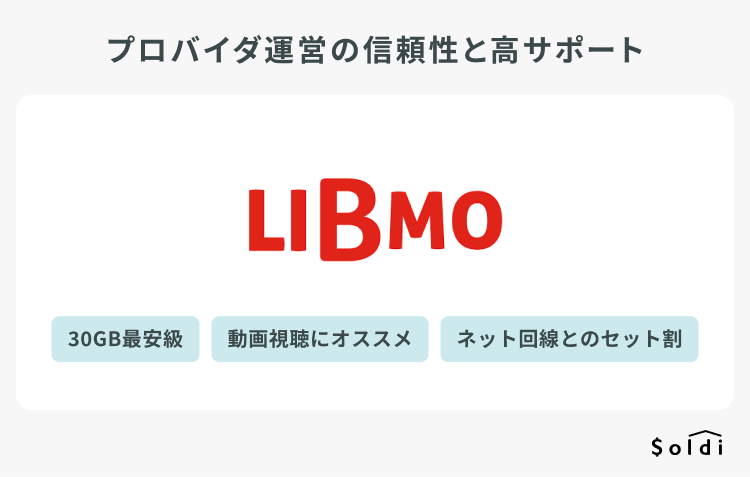 LIBMOはプロバイダ運営の信頼性と高サポートが特徴で、30GBなら最安級
