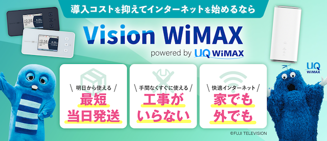 Vision WiMAX