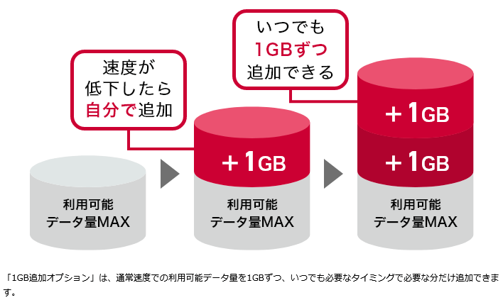 1GB追加オプション