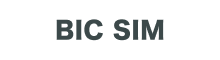 BIC SIMロゴ