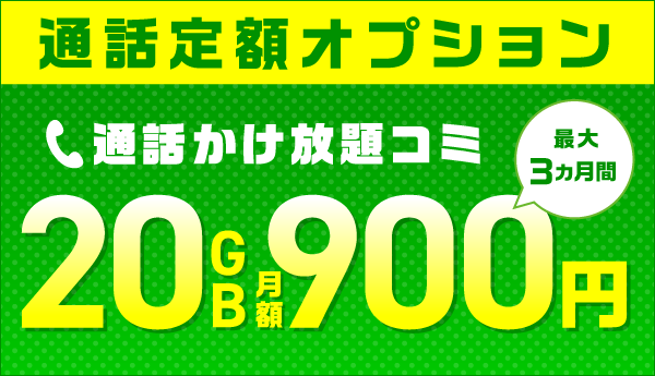 サマーキャンペーン 通話定額オプション割引
