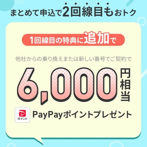 2回線まとめて申し込みでPayPayポイントプレゼントキャンペーン