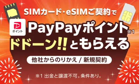 SIMご契約特典（ヤフー店限定）