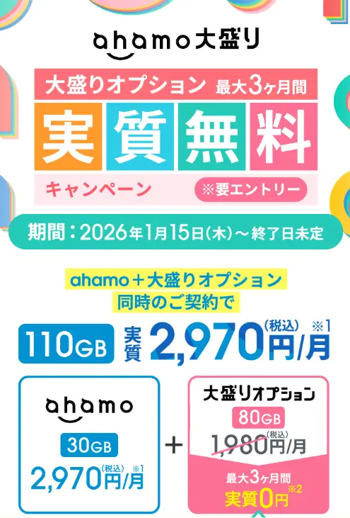 大盛りオプション最大3ヶ月間実質無料