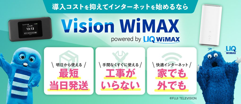 Vision WiMAX