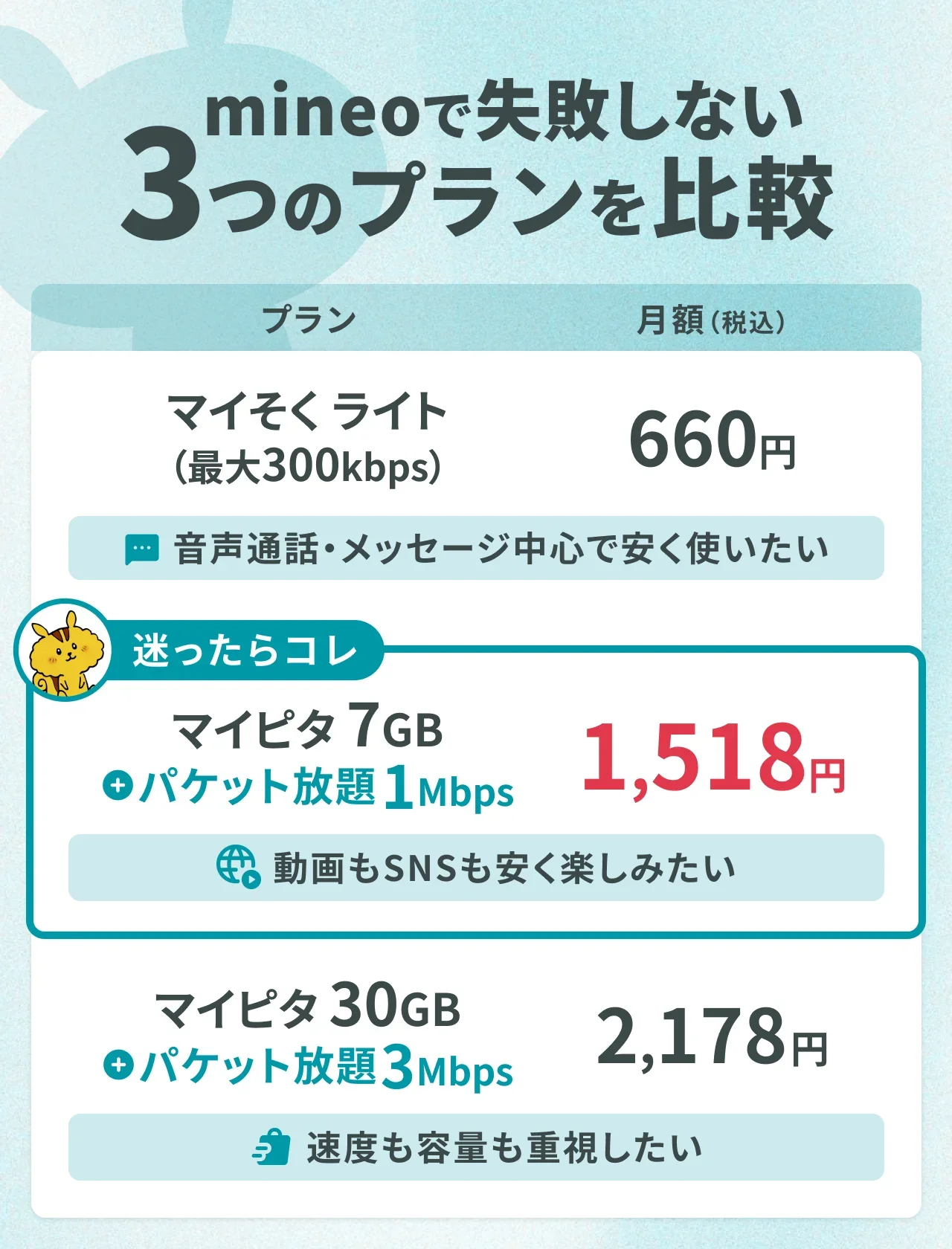 mineoで失敗しない3つのプランを比較