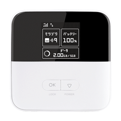Pocket WiFi 801ZT